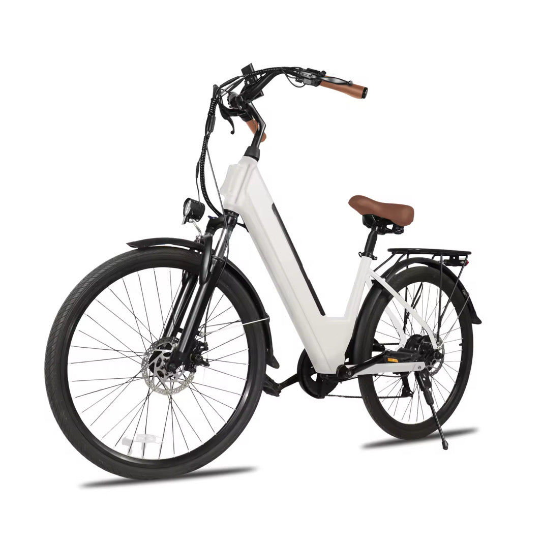 Elektrische Stadsfiets 250w